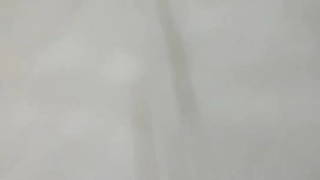 玲娜贝儿