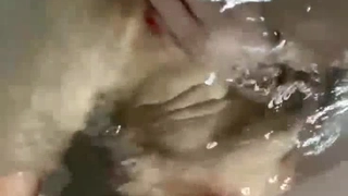 鑫仔探花，抖音人气主播小姐姐，偶尔兼职做外围，超清4K设备偷拍，极品美乳白又大，激情交合淫荡精彩
